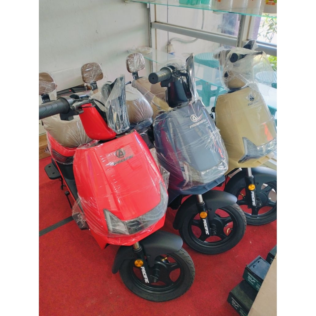 Sepeda Listrik Pasific Zeckrom 300