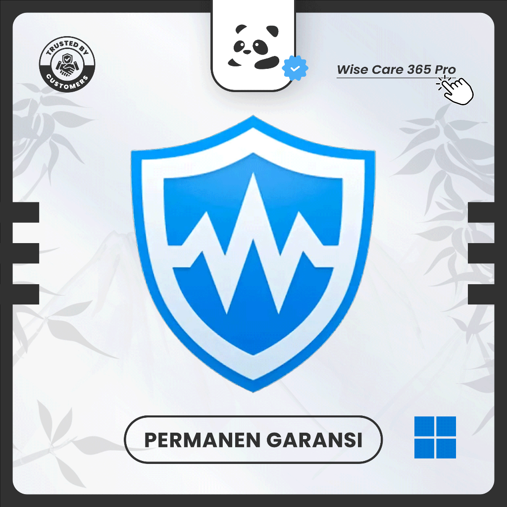 Wise Care 365 Pro | Windows