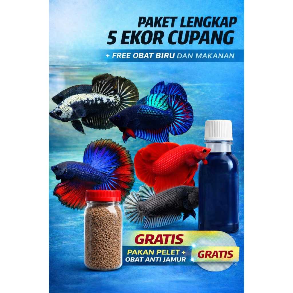 Paket Lengkap 5 Ekor Ikan Cupang Bagan Jantan Betina Super Red Samurai HM Ukuran M + Pakan 20gr + Ob