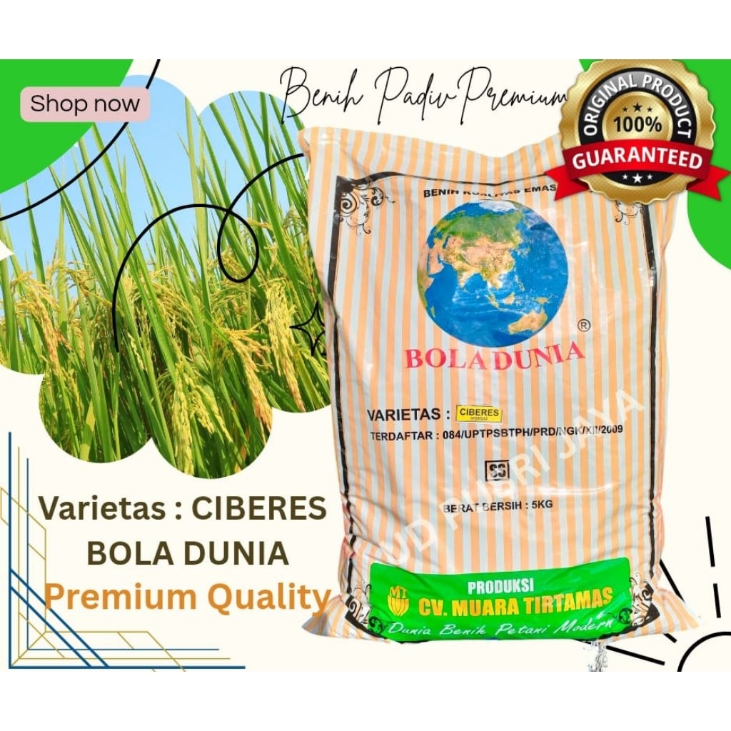 Benih Padi Premium Ciberes Bola Dunia Kemasan 5kg