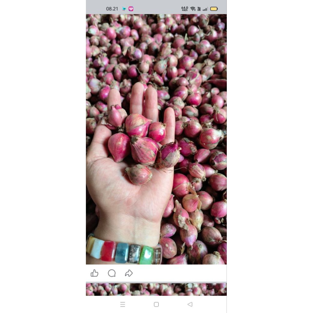 bawang merah lokal 1kg