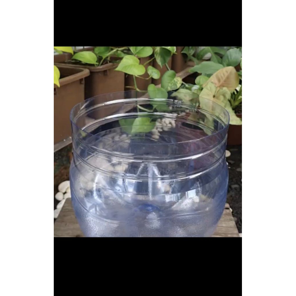 GALON LE MINERAL POTONG UNTUK POT / AQUARIUM MINI ANTI PECAH 100% GARANSI