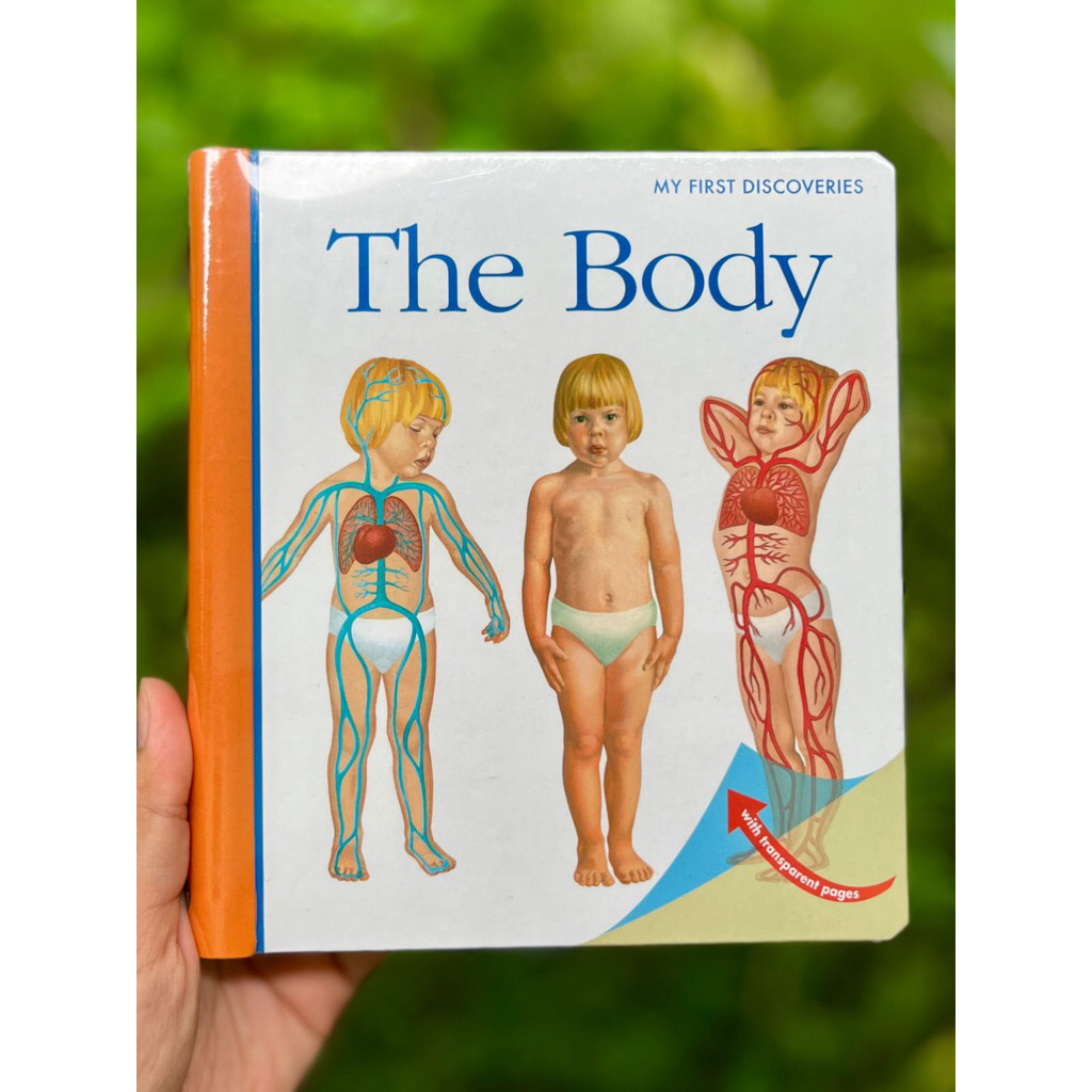 MFD The Body