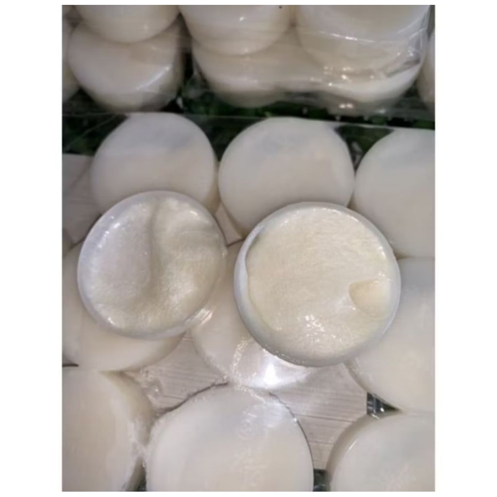 bibit pemutih cina per pcs