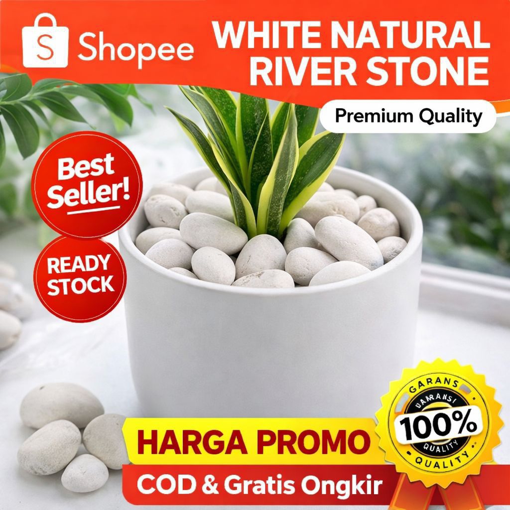 Batu Koral Putih 1 Kg Hiasan Taman Batu Hiasan Taman Minimalis