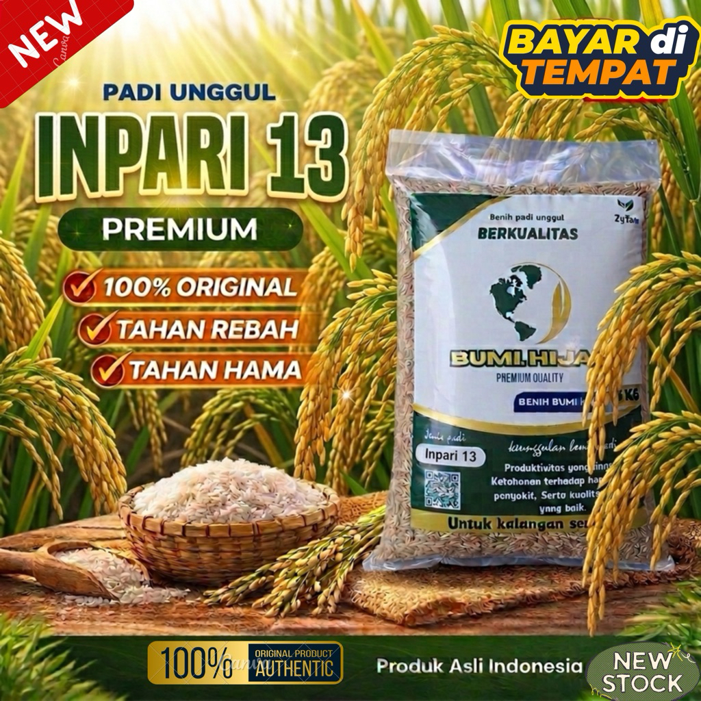 benih padi unggul INPARI 13 kemasan 5kg berkualitas