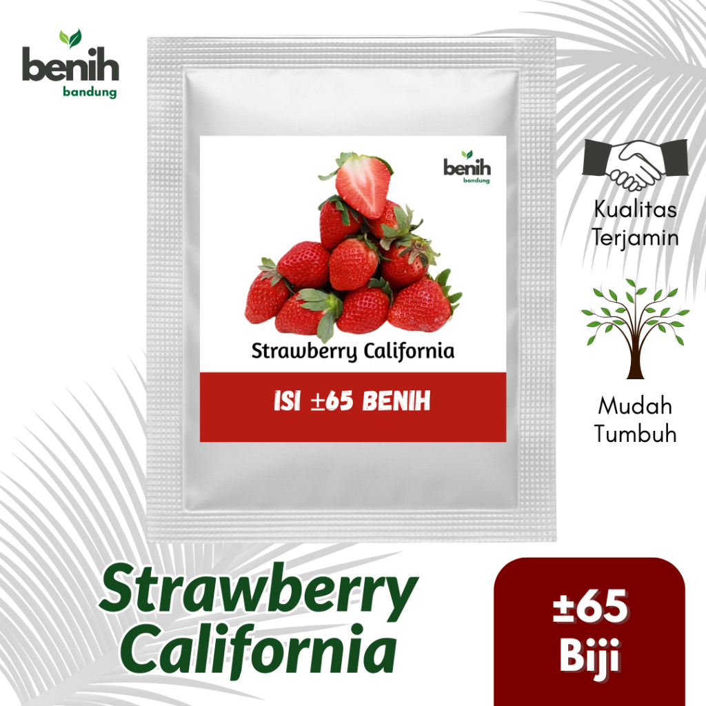 65 Biji Benih Strawberry California Jumbo Bibit Stroberi Unggul Buah Manis