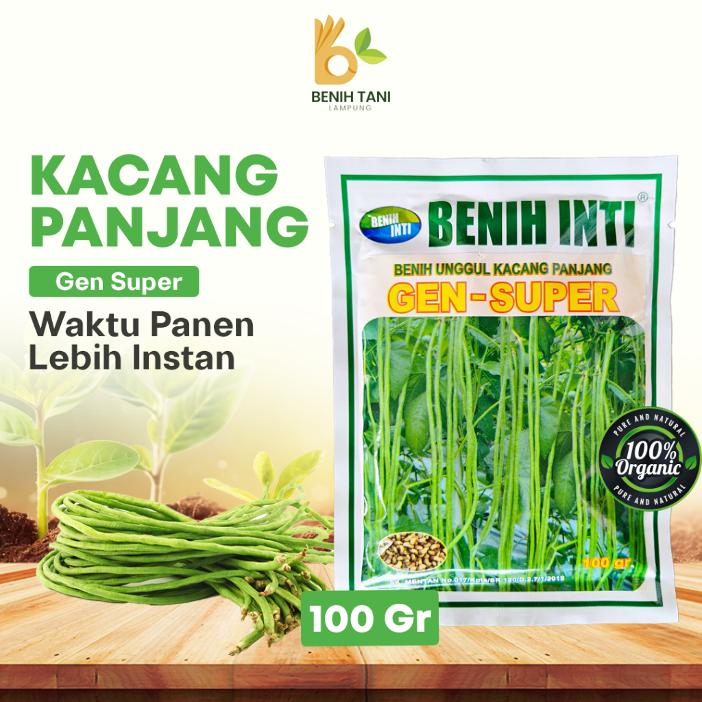 BENIH KACANG PANJANG GEN SUPER – 100gr/500gr  (BENIH INTI)