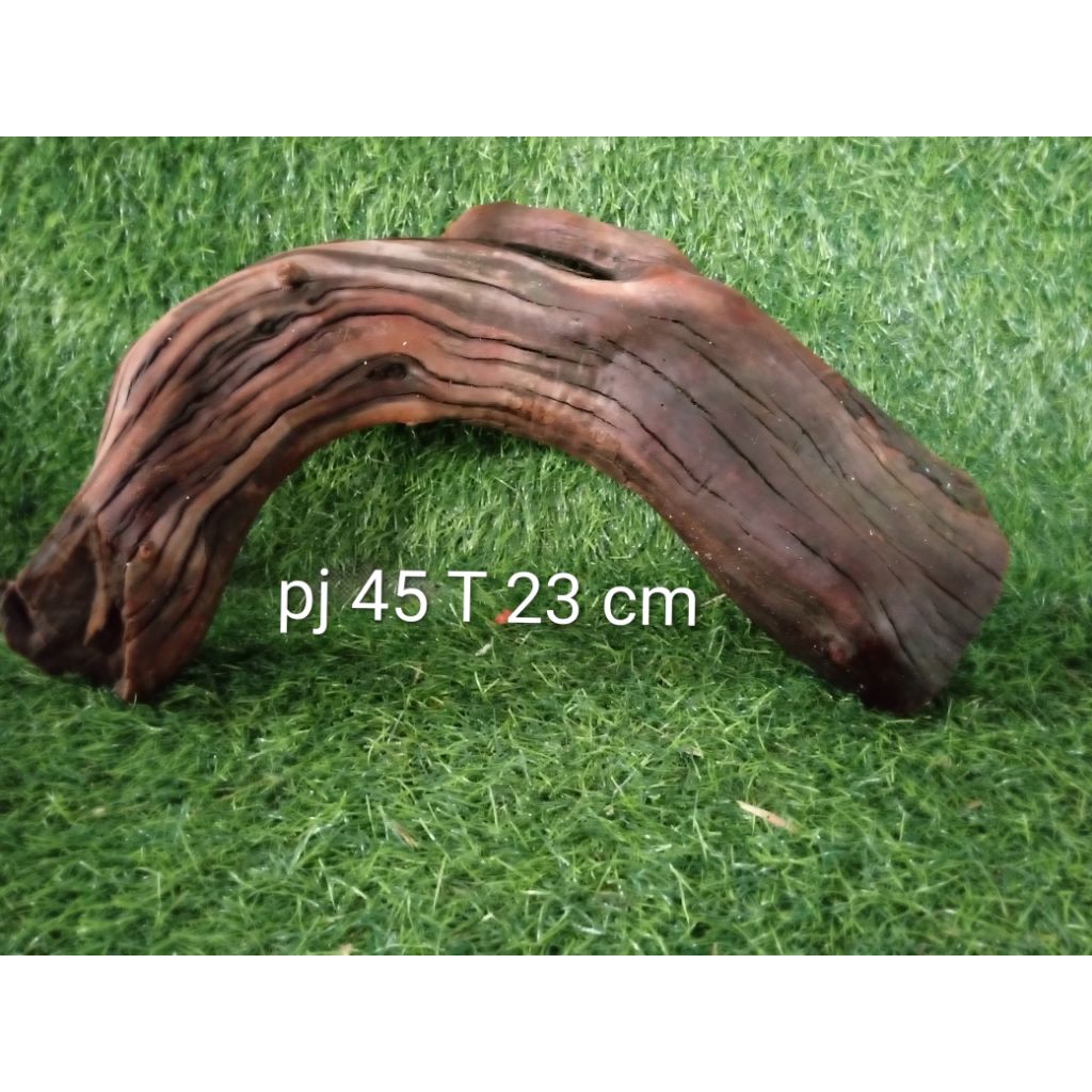 kayu santigi aquascape tenggelam