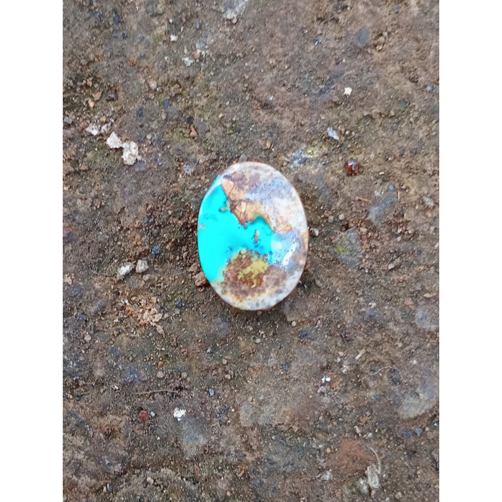 natural pirus persia mini