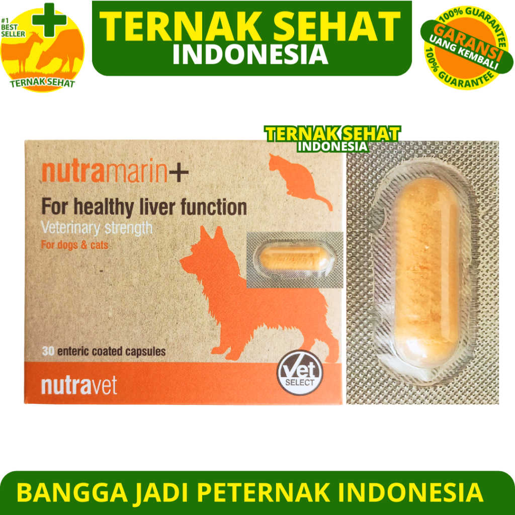 NUTRAMARIN PLUS 1 KAPSUL - Obat Gangguan Liver Kucing Anjing Dukung Fungsi Hati Maksimal Lik Samylin