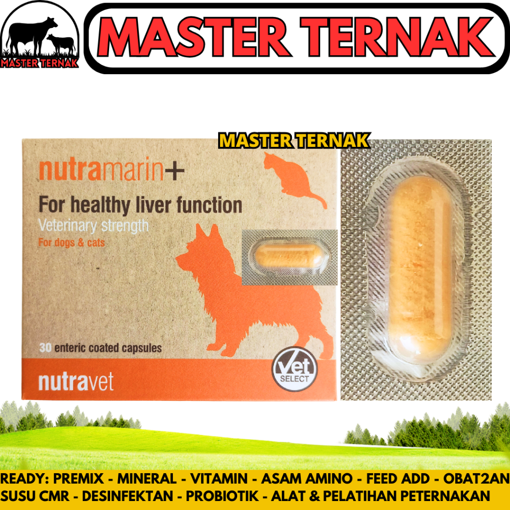 NUTRAMARIN PLUS 1 KAPSUL - Obat Gangguan Liver Kucing Anjing Dukung Fungsi Hati Maksimal Lik Samylin