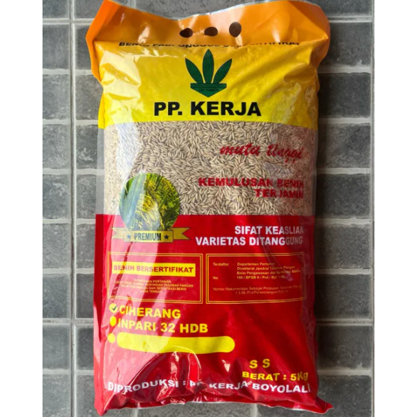 BIBIT - PADI CIHERANG PREMIUM PP KERJA - 5 KG