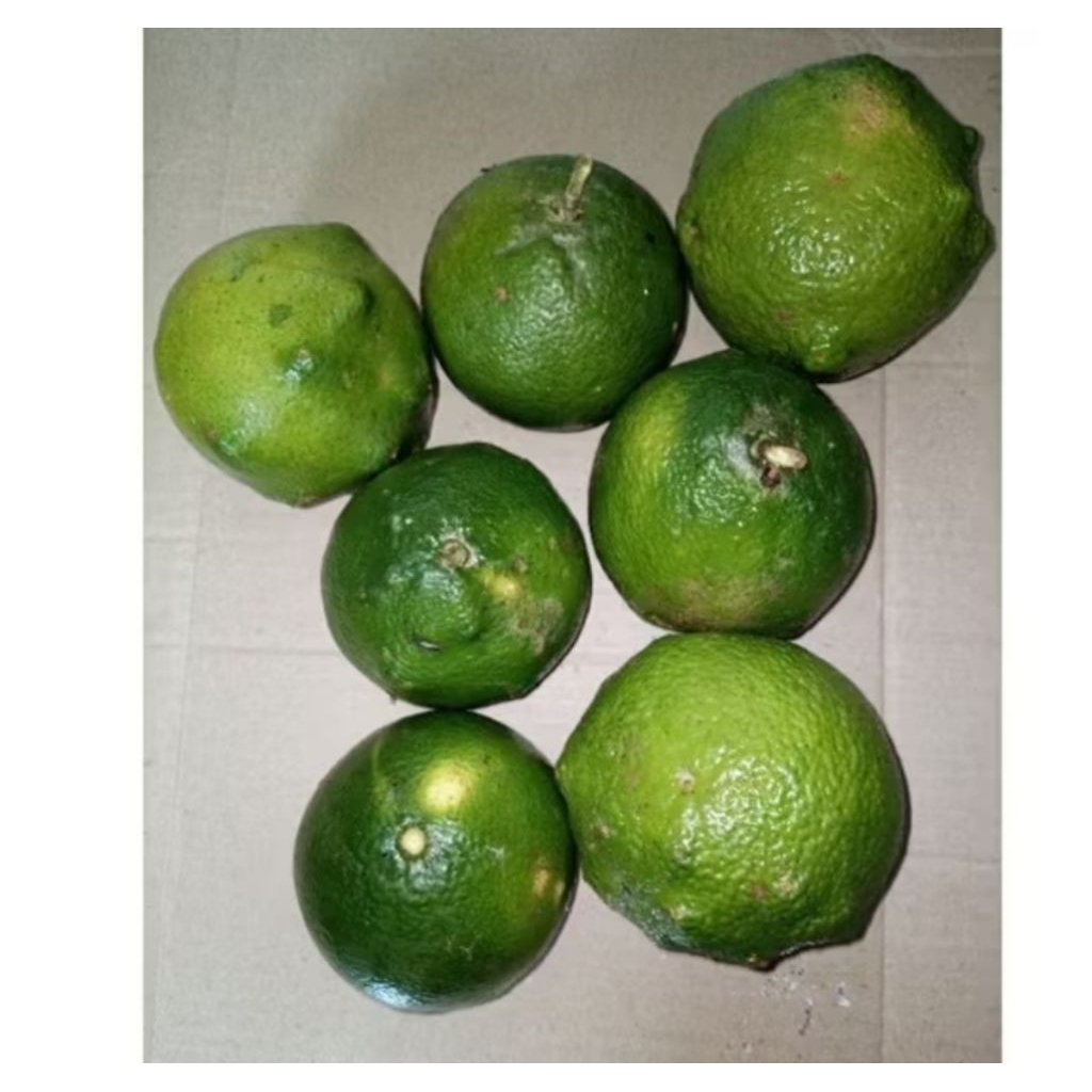 Buah jeruk bali mini 1kg matang