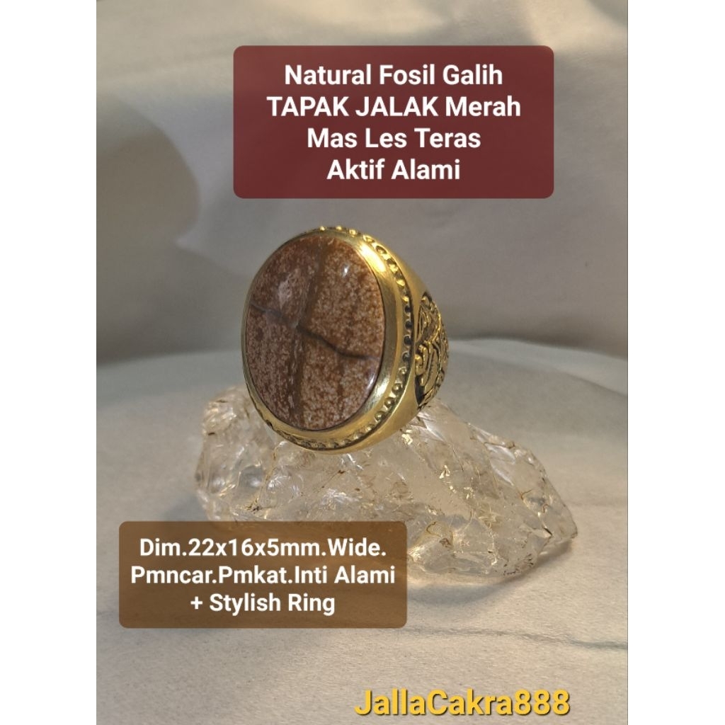 Natural Fsl GALIH KELOR TAPAK JALAK Emas Les Bang Teras Sumatra Aktif Alami Alam | Batu Natural Alam