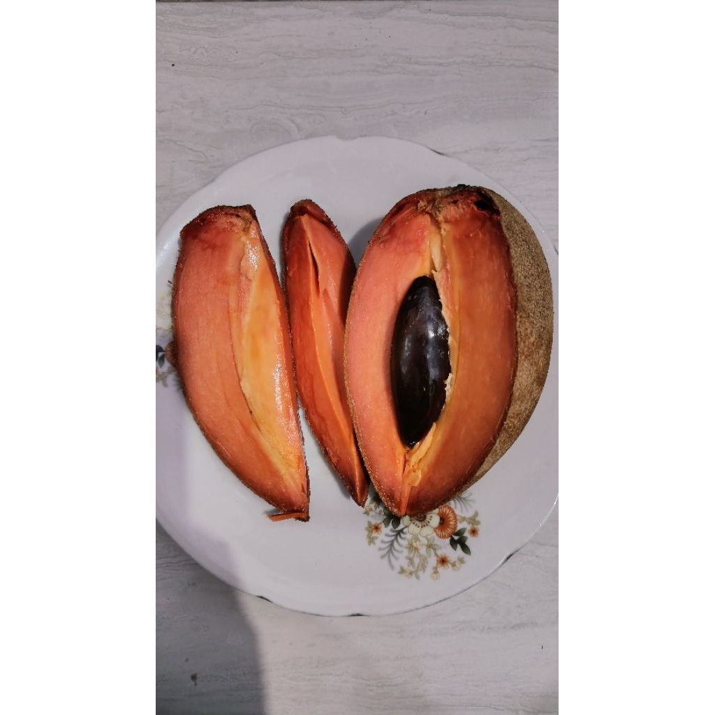 Buah Mamey Sapote (Sawo Amerika)