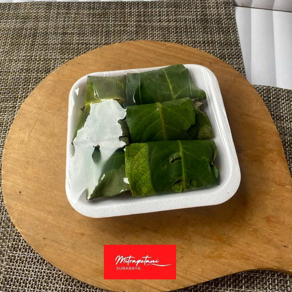 Daun salam, daun salam segar, daun salam fresh