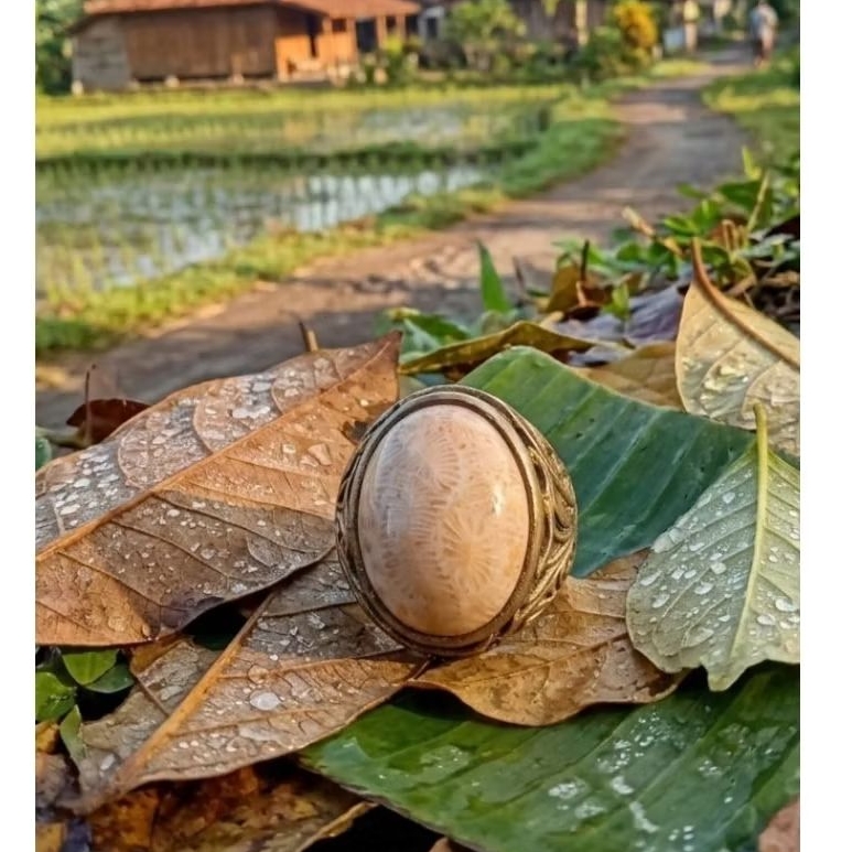 Akik Teratai Lipan #01