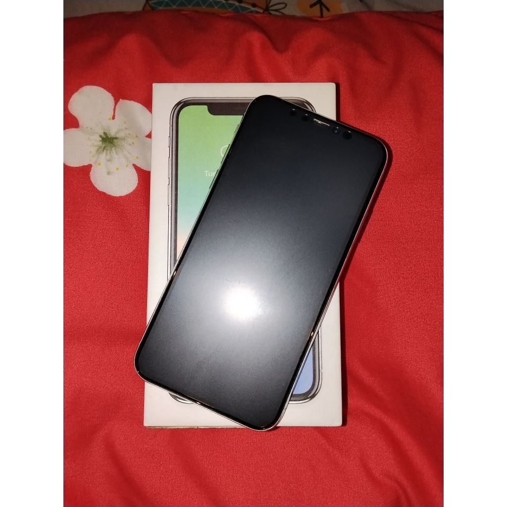 Iphone X 256gb silver ex ibox second murah