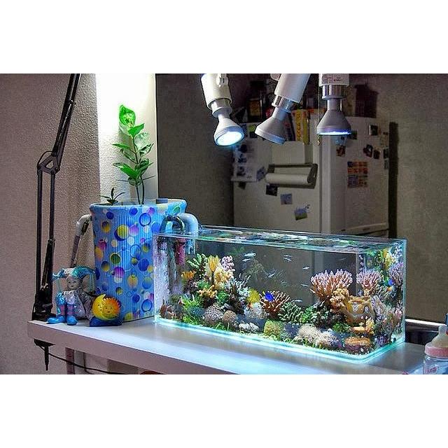 AQUARIUM OPTIC CLEAR | AQUARIUM KACA BENING | AQUARIUM OPTIC CLEAR AQUASCAPE | (KHUSUS INSTAN)