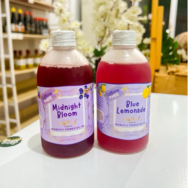 Kombucha | Teh kombucha Premium | Teh Fermentasi | Kombucha Teh Fermentasi | Minuman Fermentasi | Mi