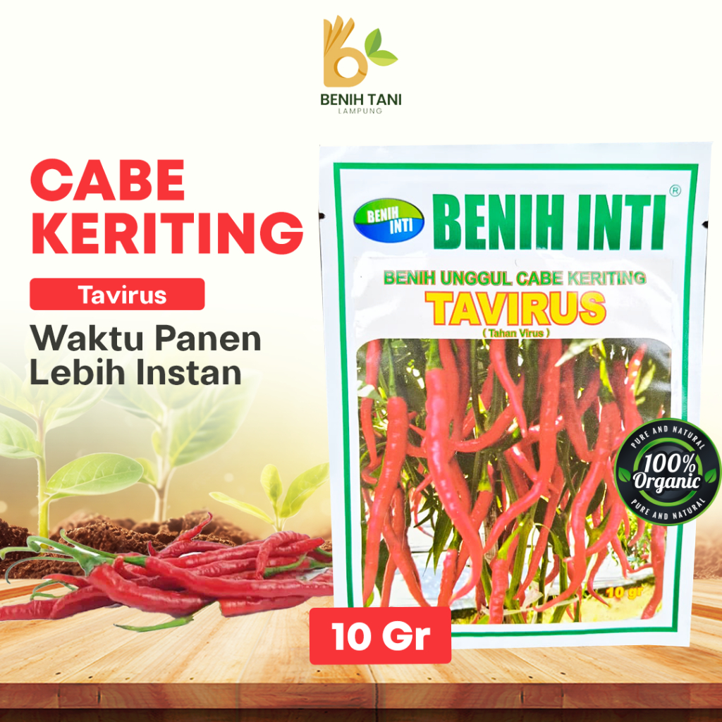 Benih Cabe Keriting Tahan Virus TAVIRUS isi 10gram dari BENIH INTI