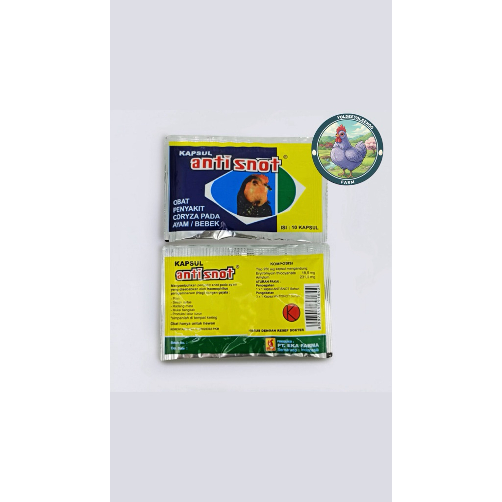 ANTI SNOT KAPSUL EKA FARMA OBAT AYAM CRD PILEK NGOROK ANTISNOT KAPSUL OBAT PILEK AYAM BEBEK UNGGAS K