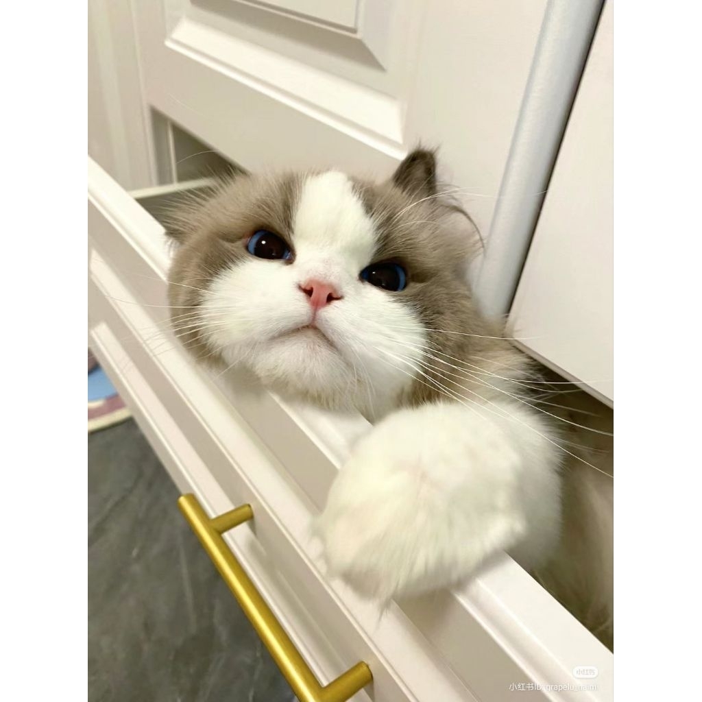 souvenir kalender custom