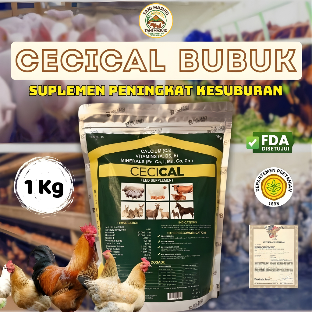 CECICAL 1KG Suplemen Kalsium Ayam Bangkok | Vitamin Ayam Aduan Dewasa, Booster Tulang Kuat & Penamba