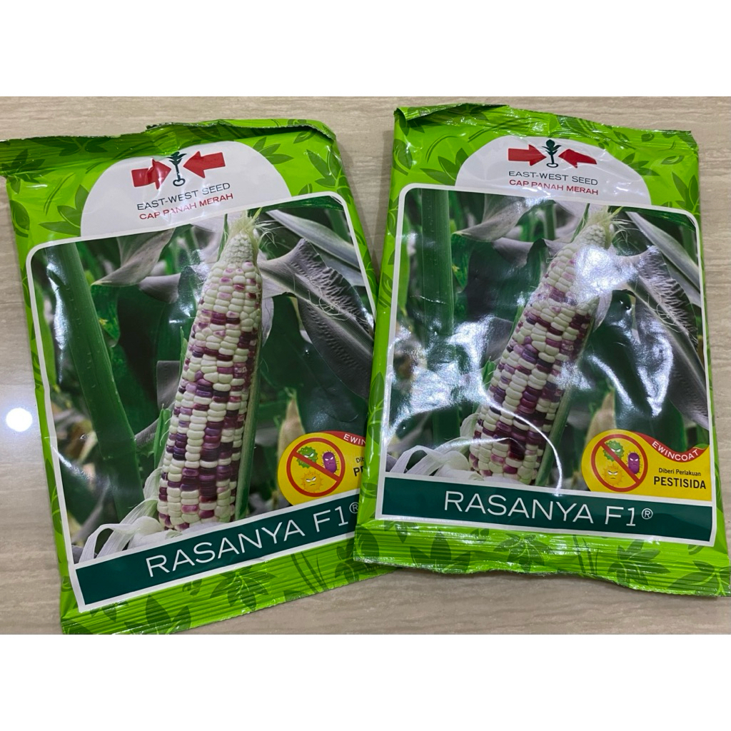 Benih Jagung Pulut Rasanya