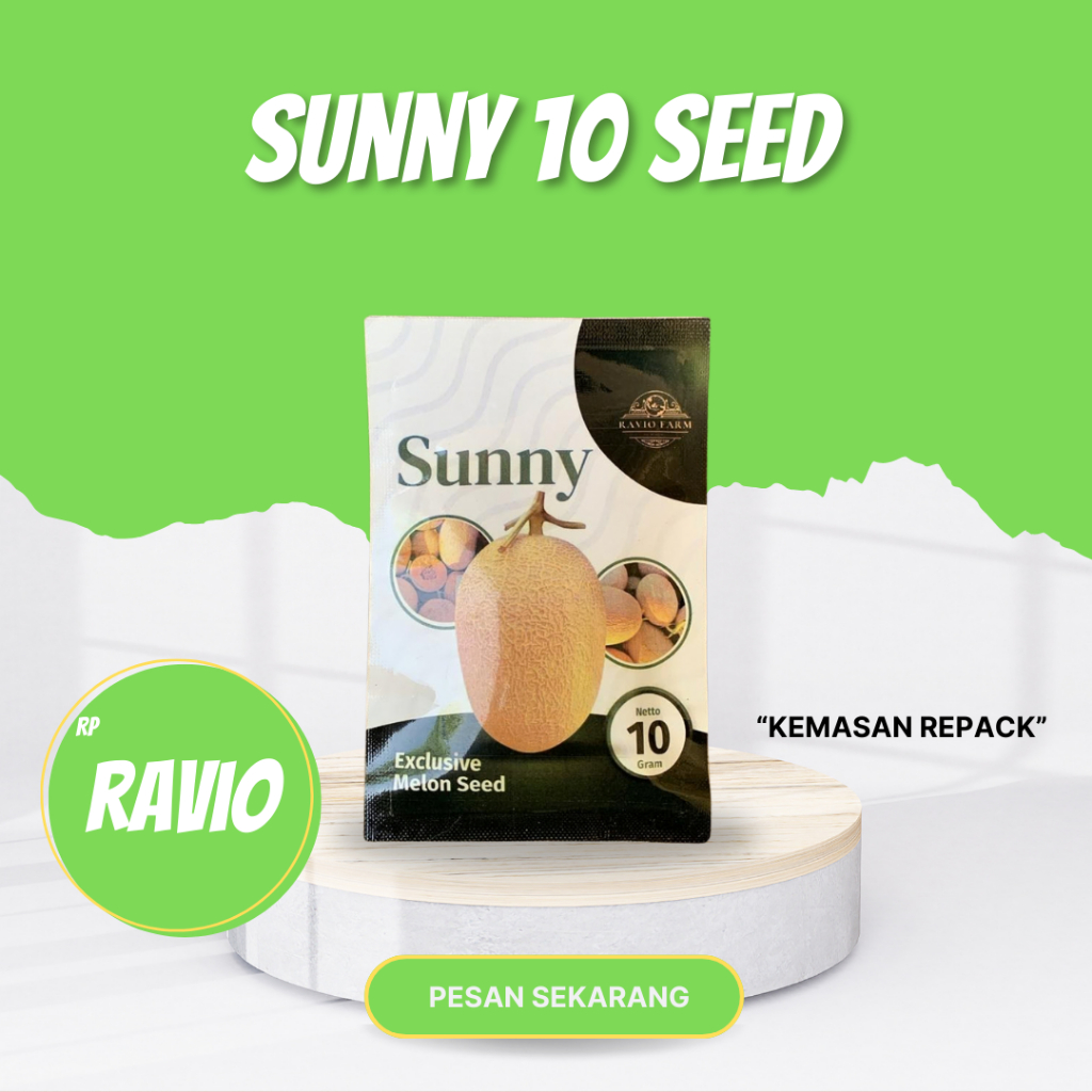 BENIH MELON SUNNY 10 SEED RAVIO SEED