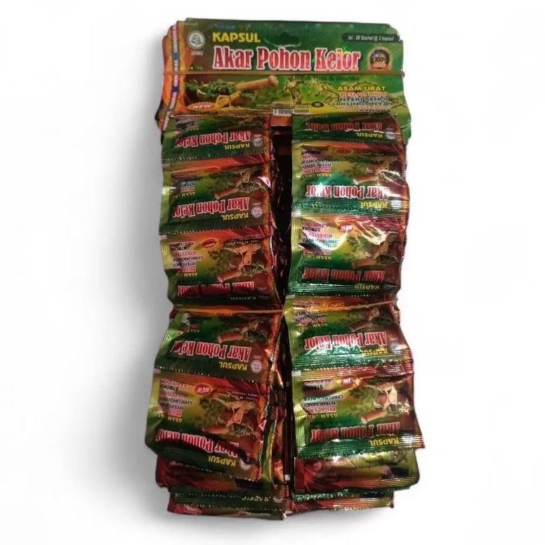 Bibit Akar Pohon Kelor Asli