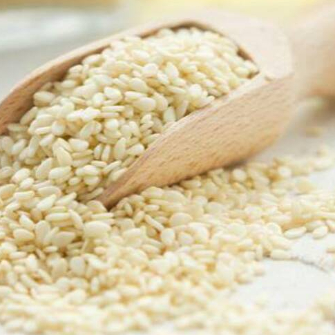 Biji wijen putih / wijen putih