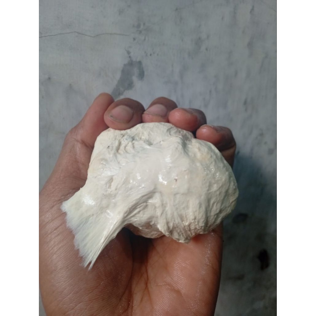 harga diskon 1/5kg pulut burung