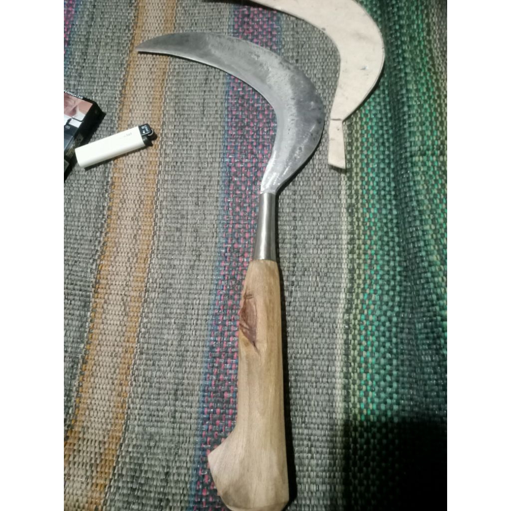 Arit rumput besar karah putih Munnel