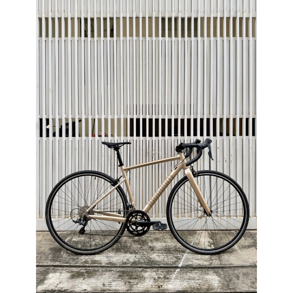 Roadbike Dominate RR Rim Brake - Size S (49)