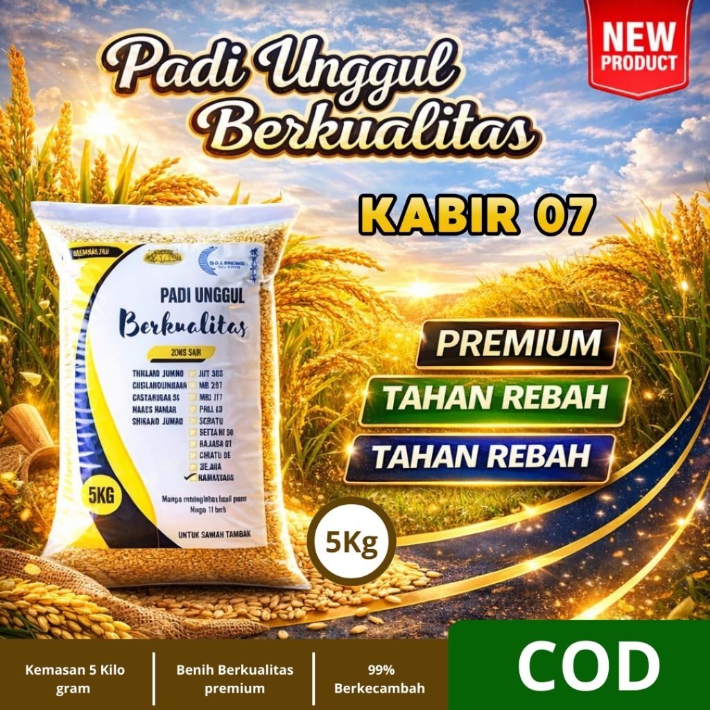Benih padi unggul KABIR 07 padi super kualitas super unggul 5kg