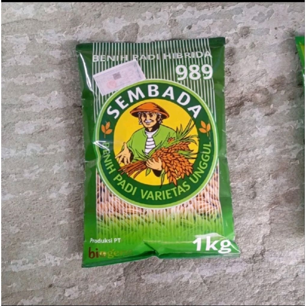 (1KG)BENIH PADI HIBRIDA SEMBADA 989