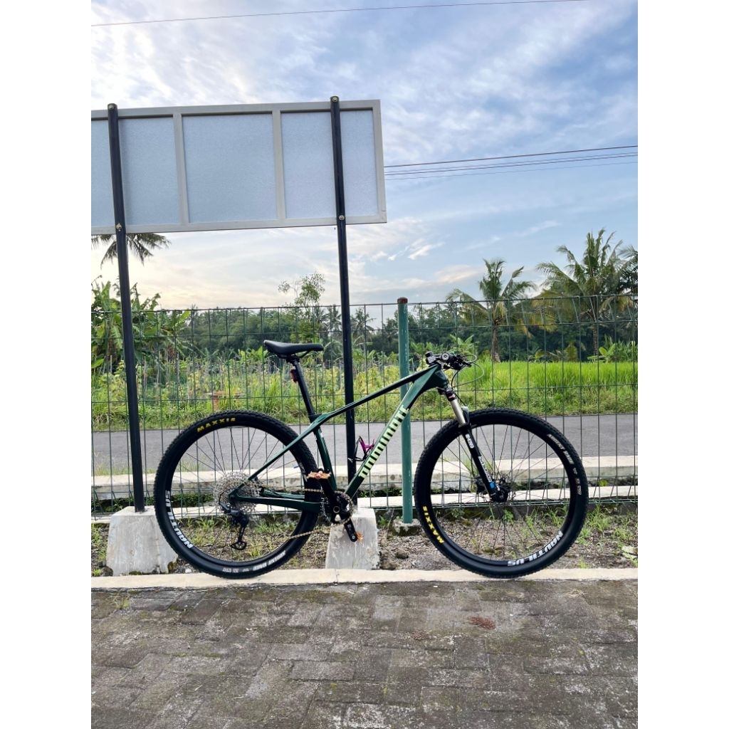 Dominate cxc comp R fullbike likenew