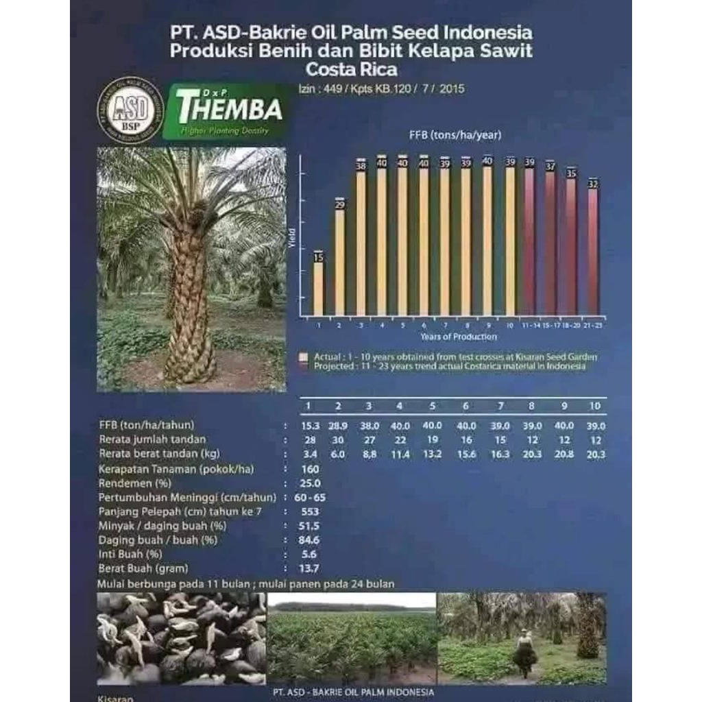 Harga 9000/butir benih sawit Costarika THEMBA