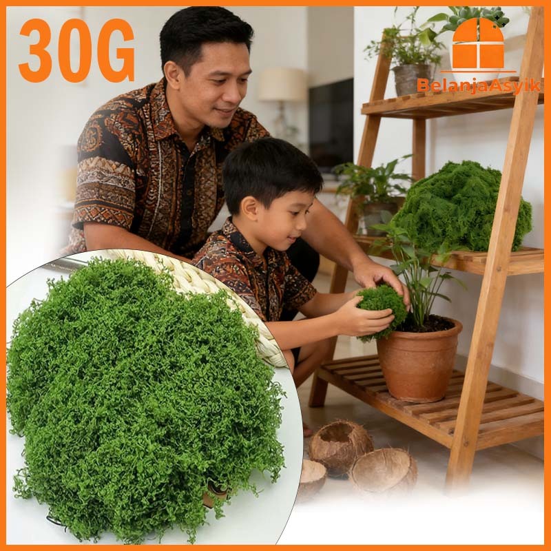 30g Mos Sintetis Aquascape Lumut Sintetis Aquarium Lumut Awetan Artificial Moss Lumut Buatan Lumut A