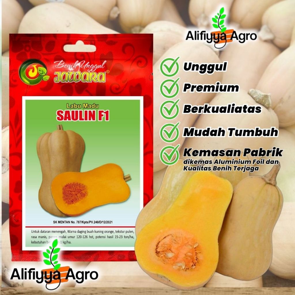 BENIH BIBIT BUAH LABU MADU KUNING - SAULIN F1 (Daging Buah Tebal) produk Asli Jawara