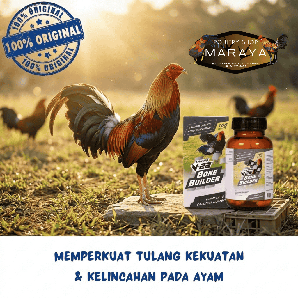 V22 Bone Builder (100 Tablet) Untuk Memperkuat Tulang Pada Ayam