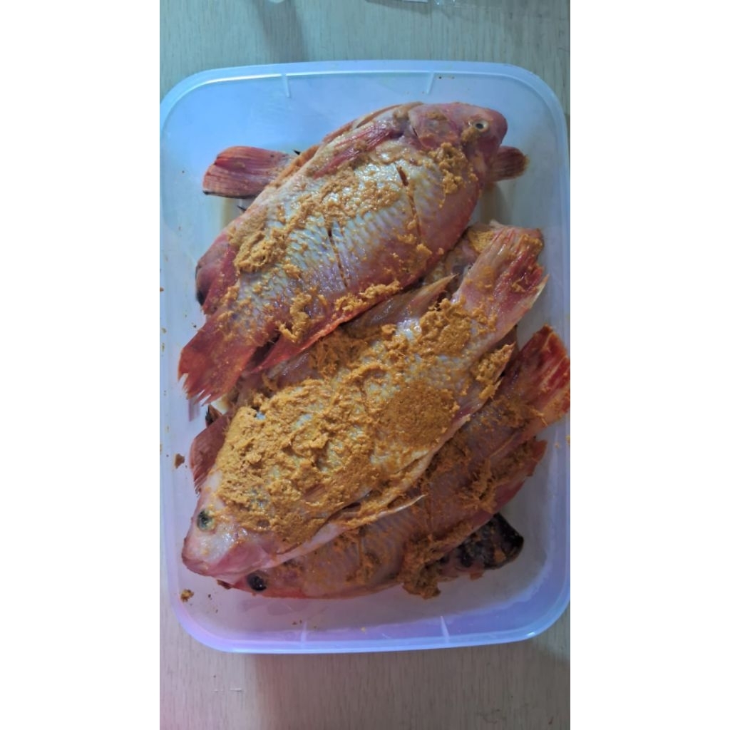 Ikan nila merah