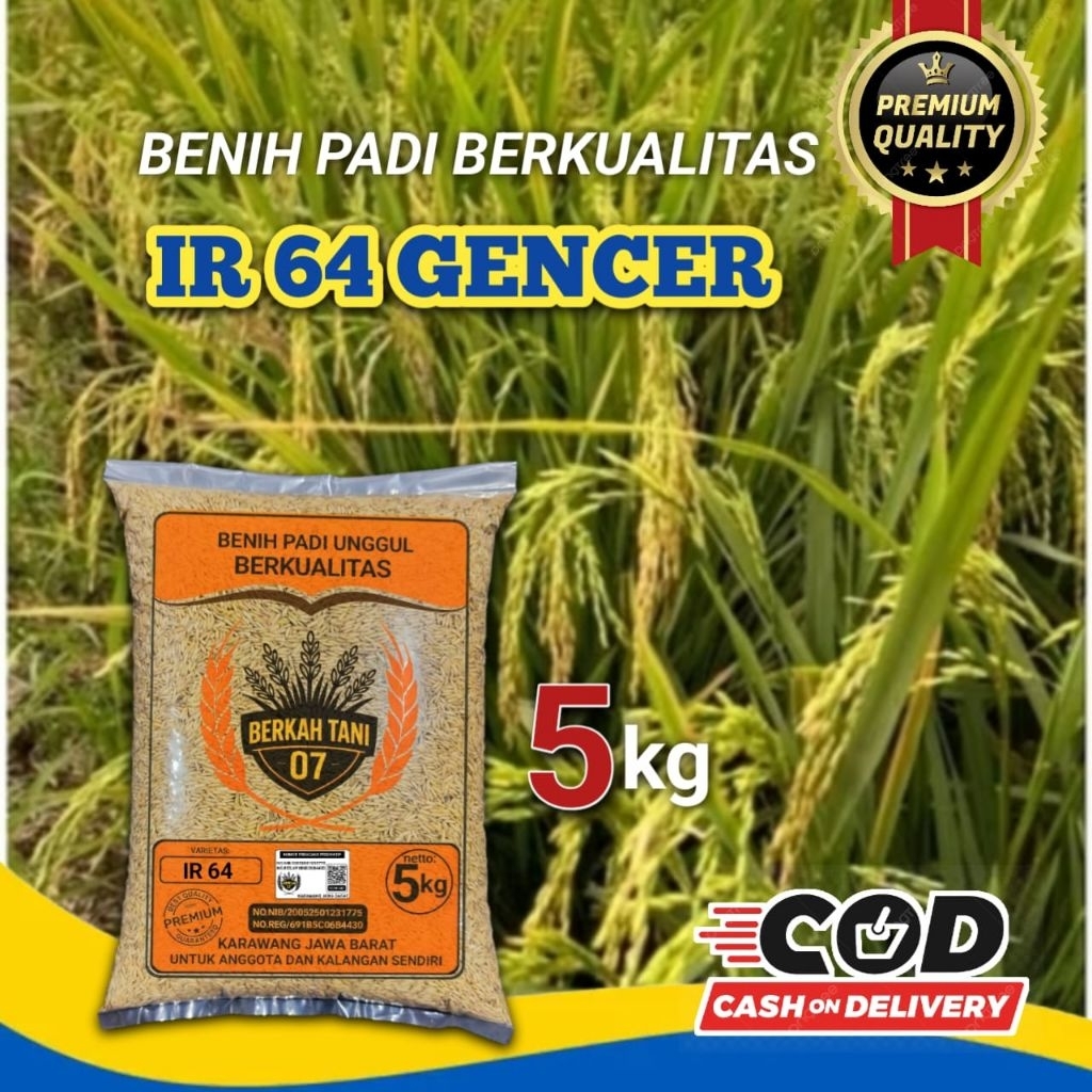 benih padi IR 64 GENCER super berkualitas.5kg