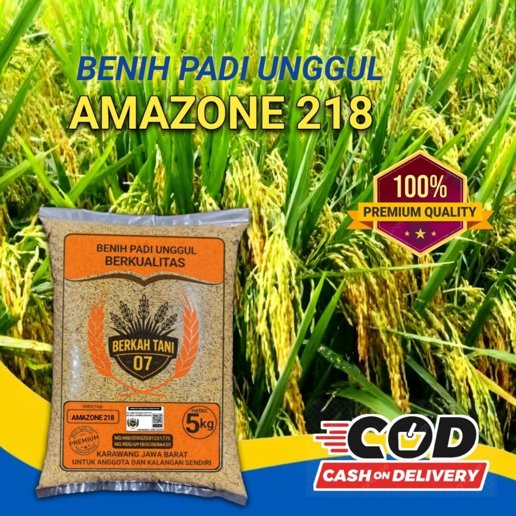 benih padi  AMAZONE 218 padi super anakan terbanyak.5kg