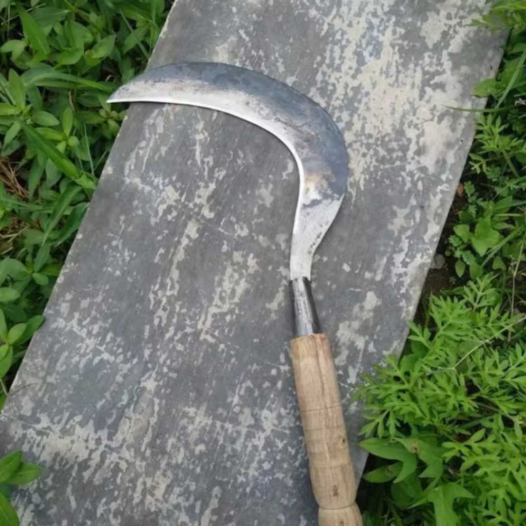 TERMURAH Arit Sabit Rumput Baja Pir Super Tajam Cari Rumput