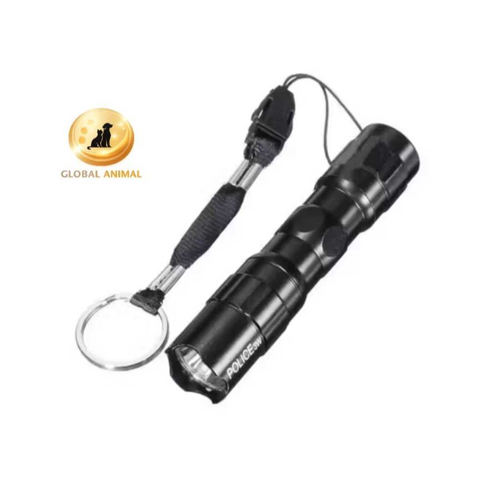 LAMPU SENTER TEROPONG TELUR BURUNG merpati puter derkuku perkutut