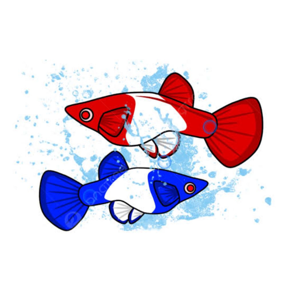 Stiker guppy afr