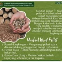 wood pelet